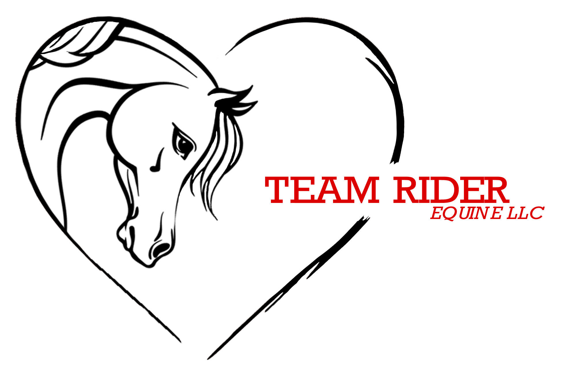 Team Rider Equine